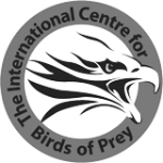 ICPB Logo